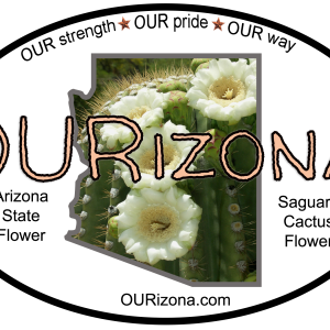 OURizona Cactus Flower Vinyl Decal