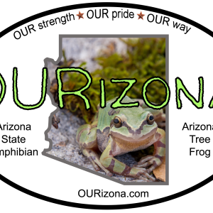 OURizona Tree Frog Vinyl Decal
