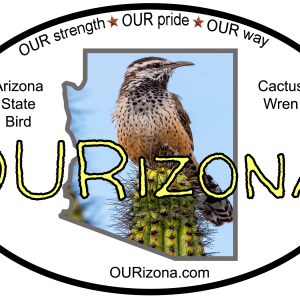 OURizona Cactus Wren Vinyl Decal