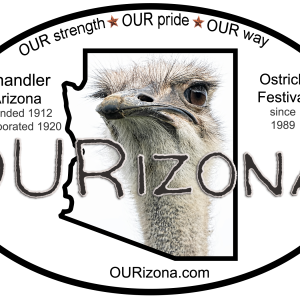 OURizona Chandler Ostrich Festival Vinyl Decal