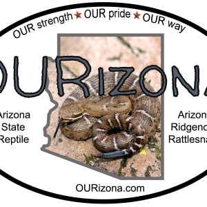 OURizona Ridgenose Rattlesnake Vinyl Decal