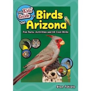 Kid’s Guide to Birds of Arizona