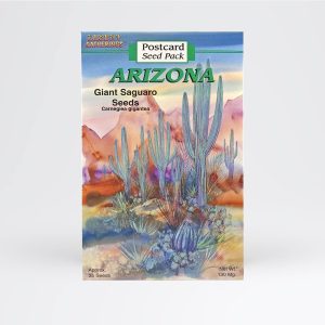 Arizona Giant Saguaro Seed Packet Postcard