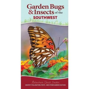 Garden Bugs & Insects of the Southwest
