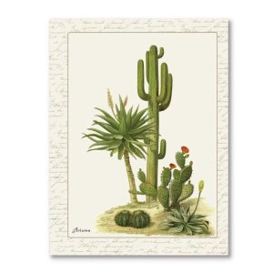 Arizona Botanical Cactus Garden Greeting Card
