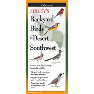 Sibley’s Backyard Birds of the Desert Southwest