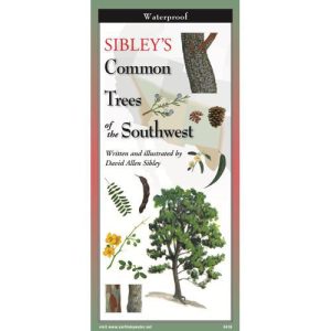 Sibley’s Trees of the Southwest