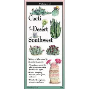 Cacti of the Desert Southwest