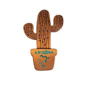 Cactus Magnet Arizona (Bronze)
