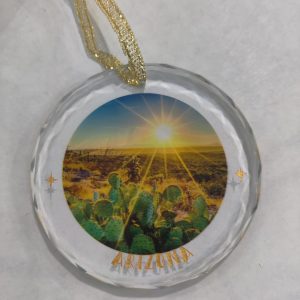Arizona – Daytime – Crystal Disk Ornament