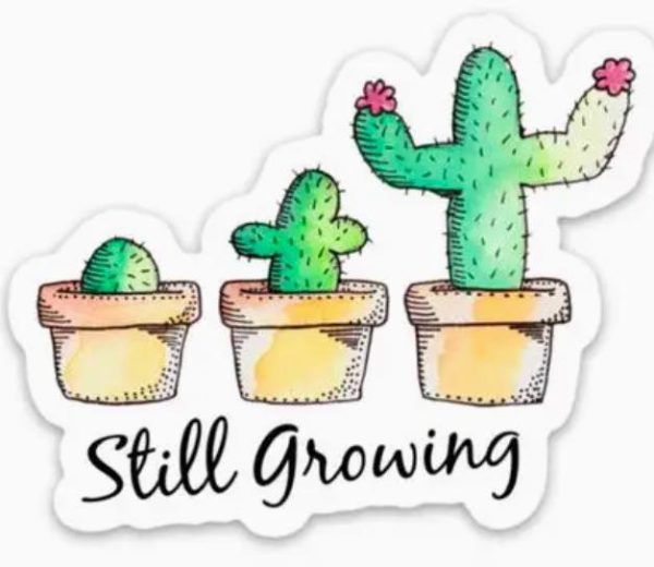 Still Growing Cactus Sticker